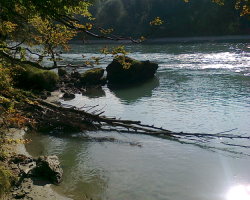 Salzach bei Burghausen