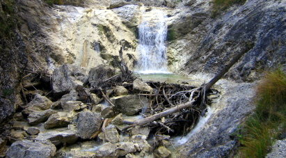 Schwemmholz in der Aschauer Klamm